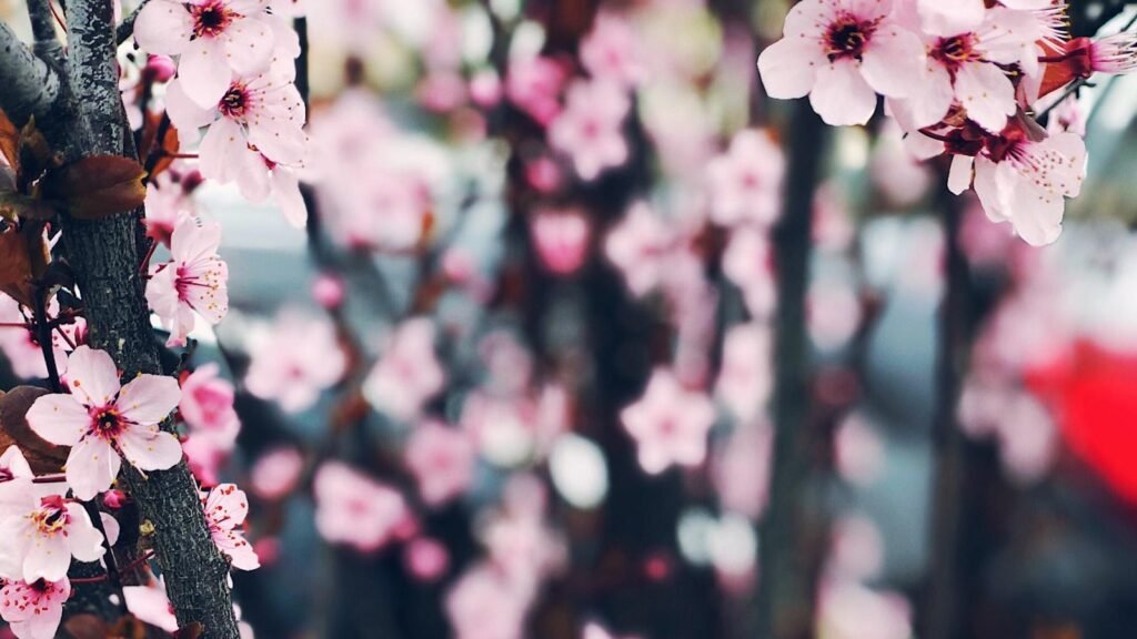 Instagram expands Creator Marketplace to help brands find creators for ads