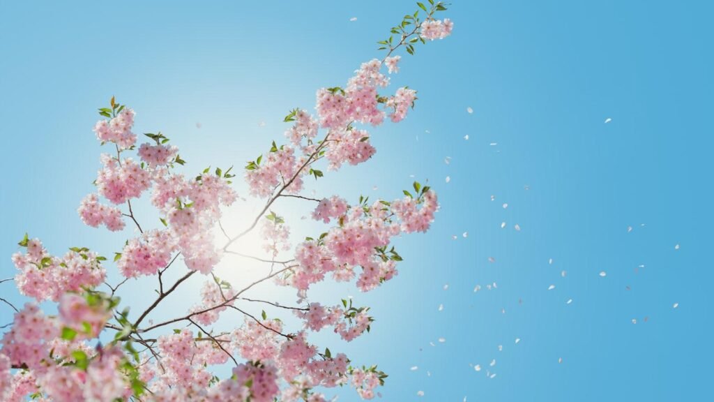 Google Chrome Showing More Relevant Search Suggestions via @sejournal, @MattGSouthern