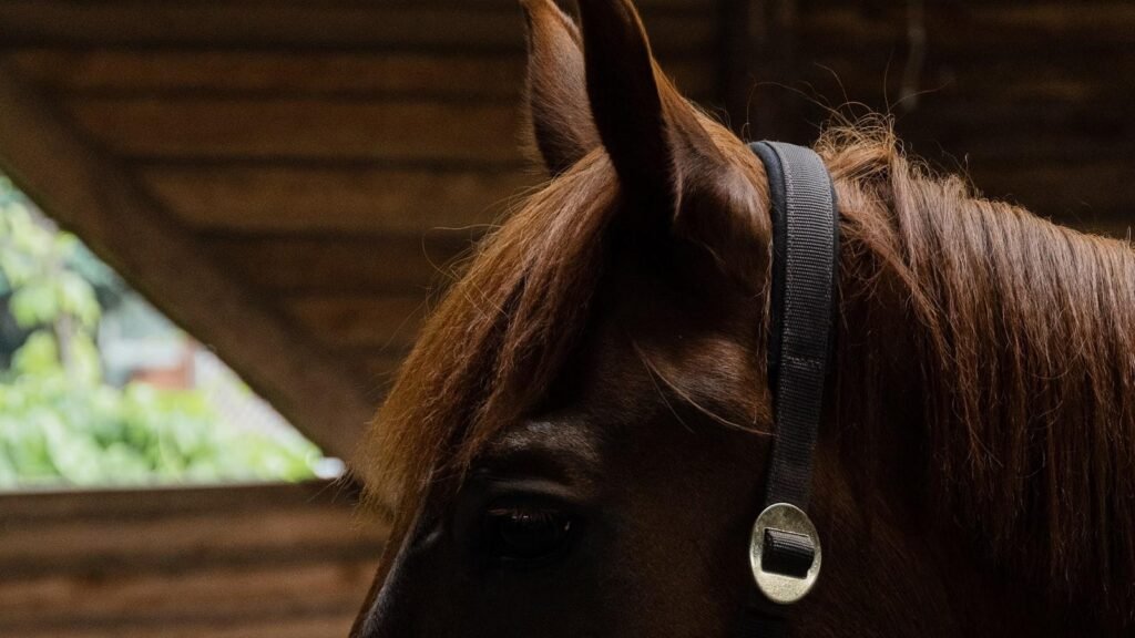 Secretele E-A-T: Ce nu ți-a spus Google despre cele două părți esențiale” – Ghid complet