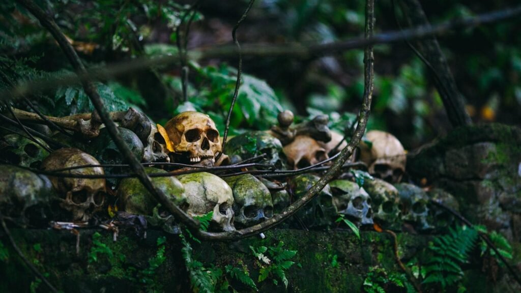 Previziuni sumbre pentru viitor: Impactul neliniar al actualizării de bază din martie 2024