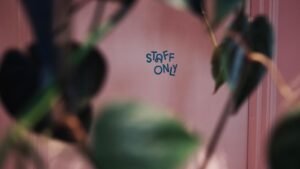 Știri exclusive: Data lansării programului SGE de la Google încă nedezvăluită
