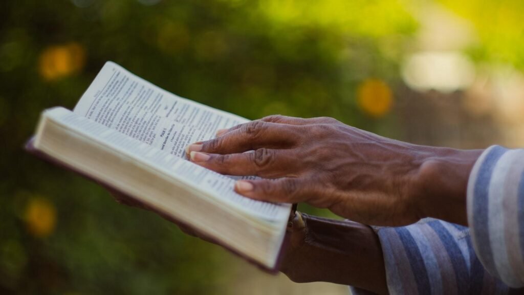 Bing Search testează eliminarea link-ului de cache: Ce înseamnă aceasta pentru căutările tale