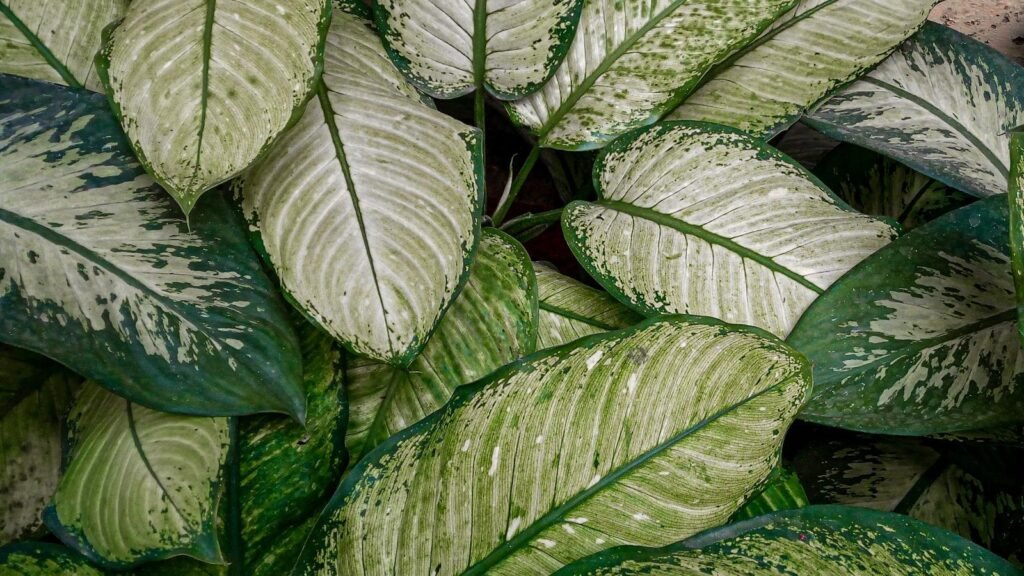 Cum să folosești Meta Ads ca alternativă la LinkedIn pentru targetarea audienței B2B