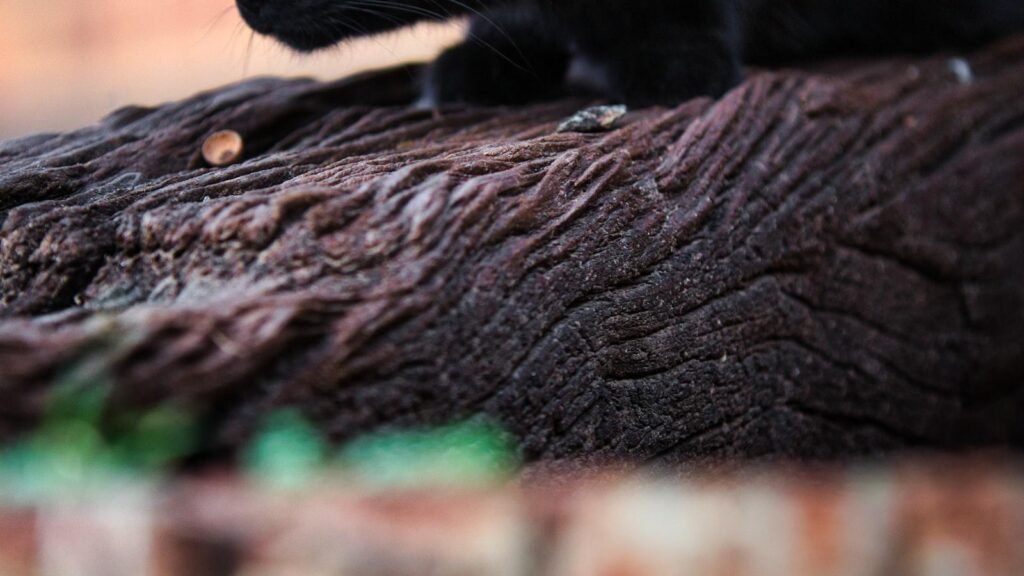 10 Paid Search & PPC Planning Best Practices via @sejournal, @LisaRocksSEM