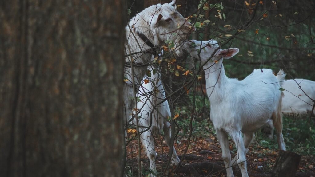 De ce scade dramatic traficul după rebranding și cum poți remedia această situație