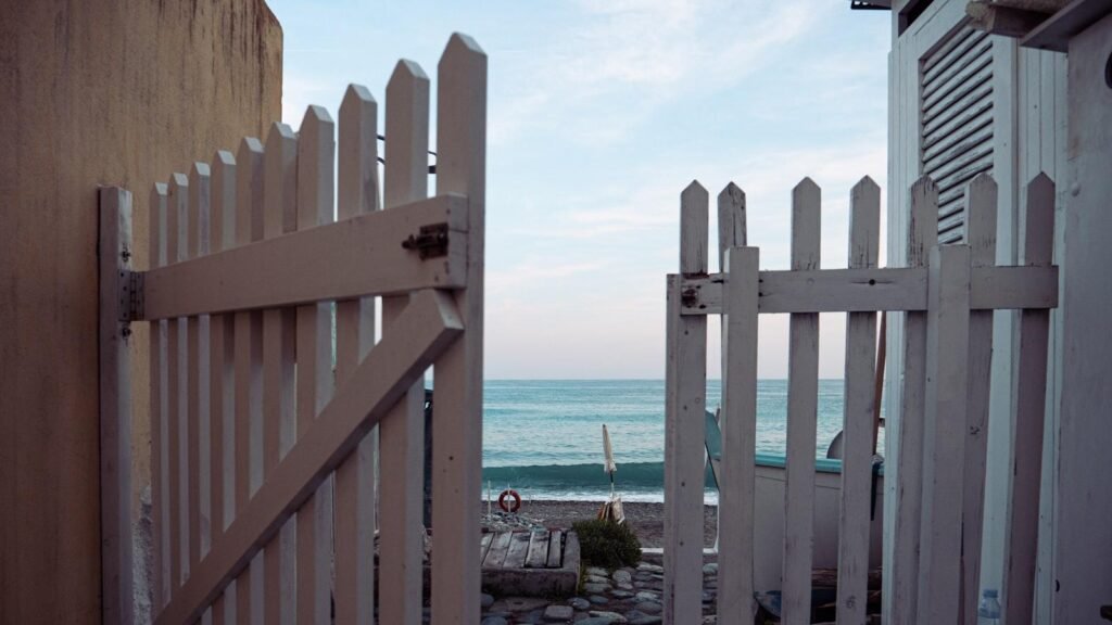 6 pași esențiali după actualizarea Google: Ce trebuie să faci după finalizarea unei core update