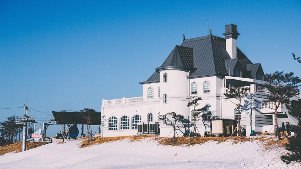 Viitorul SEO într-o lume condusă de inteligența artificială: ce trebuie să știi