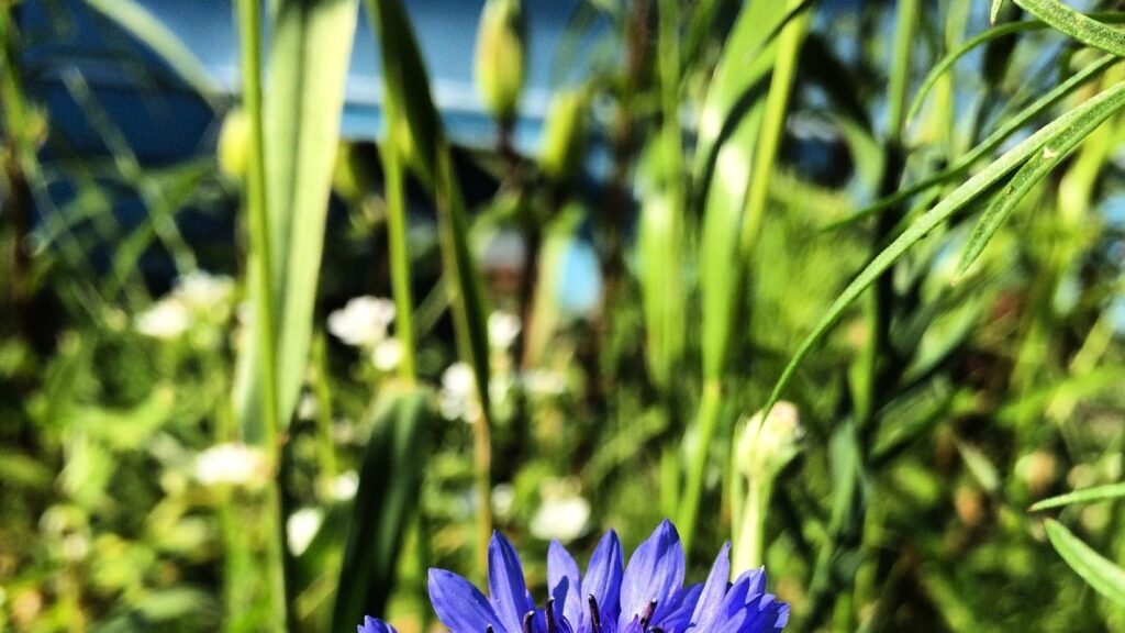 Stigmatizarea efortului: Cum să echilibrați etica muncii și epuizarea în marketing