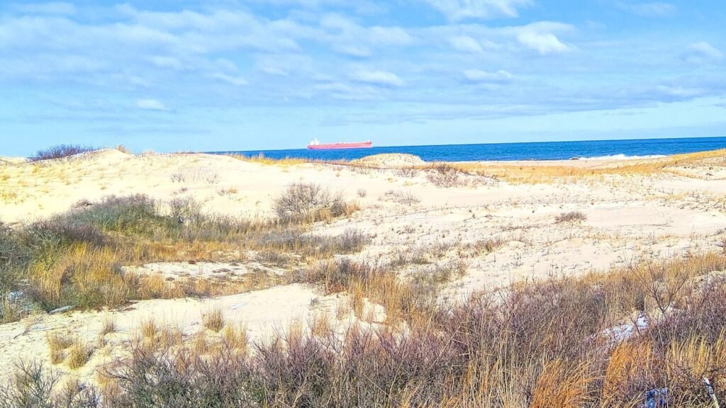 De ce un site mic de recenzii a pierdut 91% din traficul său Google: Impactul conținutului SEO axat pe afiliere