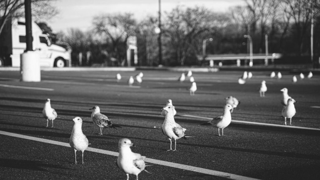 Eroare în alerta de excludere a targetării detaliate trimisă către advertiseri: Ce s-a întâmplat?