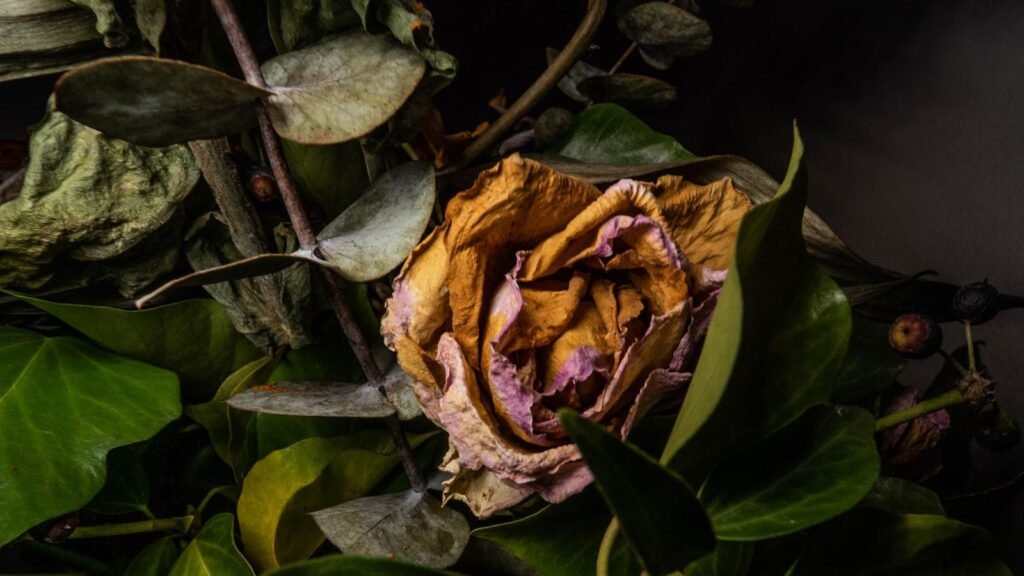 Rezolvarea recenziilor negative de pe Glassdoor și Indeed: Ghid complet pentru a naviga cu succes