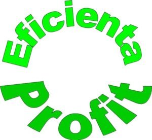 Optimizare eficientă a campaniilor publicitare cu Meta Advantage+: Soluții automate pentru targetare precisă