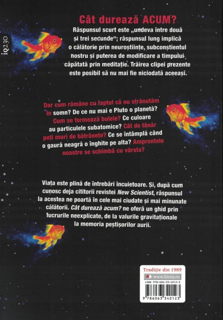 Cât Durează Să Funcționeze SEO? Google Explică Timpul Necesitar Pentru Rezultate