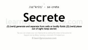 Secrete de livrabilitate a e-mailurilor de vacanță: 4 sfaturi de la experți