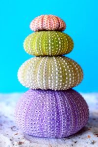 De ce acțiunile Google au crescut cu 65% după pierderea a două procese antitrust