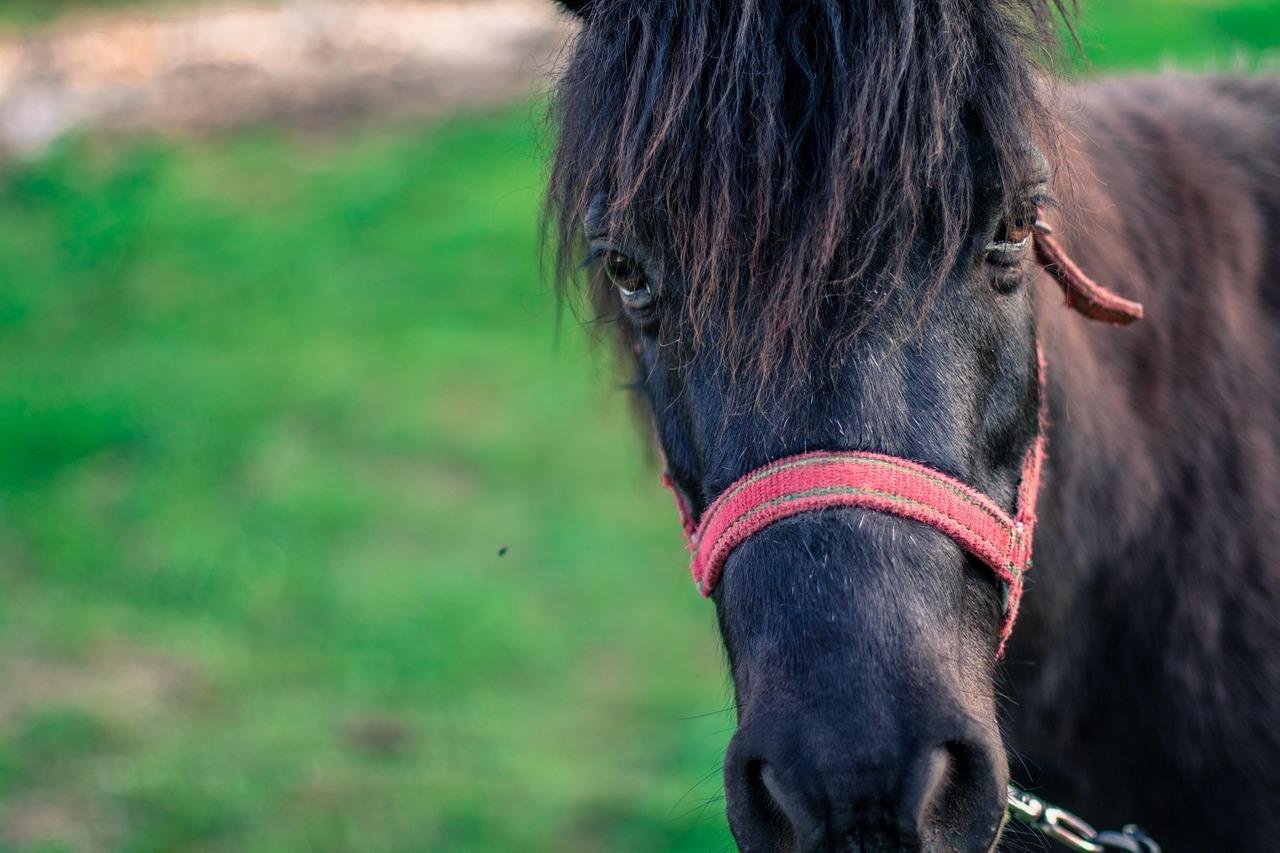 Optimizare SEO 19 Privirea in viitor: Implementarea AI pentru îmbunătățirea gestionării lead-urilor și obținerea de rezultate mai bune